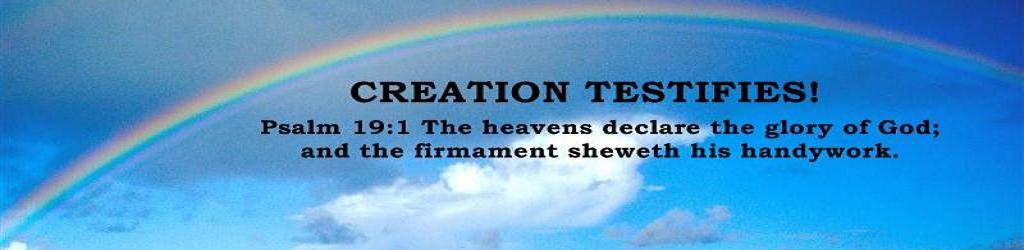 Creation Testifies logo