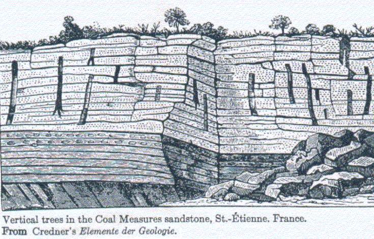 Polystrate Fossils in France